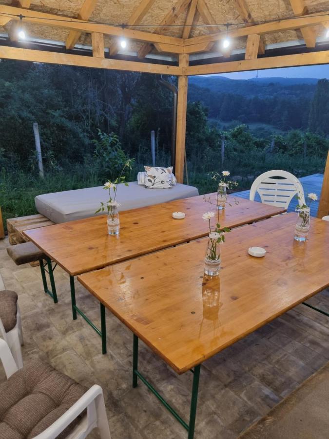 Hoopovo House Fruska Gora Villa Irig Exterior photo